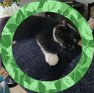 Meet your Posher, Marsha